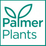 Grown in the UK Palmer Plants