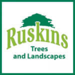 Grown in the UK Ruskins Trees