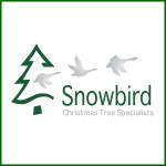 Grown in the UK Snowbird Christmas Trees