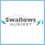 Grown in the UK Swallows Nursery