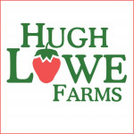 Grown in the UK Hugh Lowe Farms 1