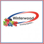 Grown in the UK Winterwood 1