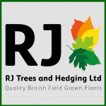 Grown in the UK RJ Trees 1