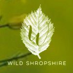 Grown in the UK Wild Shropshire 1
