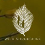 Grown in the UK Wild Shropshire Restaurant 7