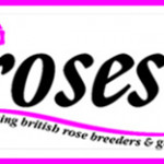 Grown in the UK Roses UK 1