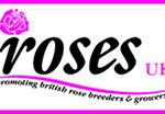 Grown in the UK Roses UK 1