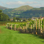 Kerry Vale 1