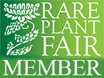 Rare Plant Fair 2B