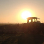 WA Pearce & Sons Farms 3